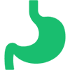Illustration of a human stomach in green color.